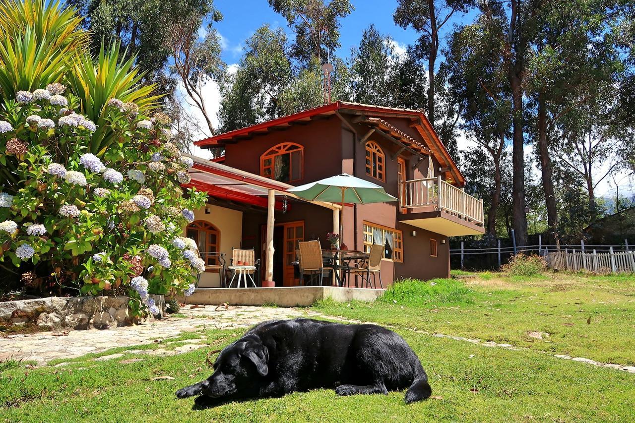 The Lazy Dog Inn A Mountain Lodge Huaraz  Εξωτερικό φωτογραφία